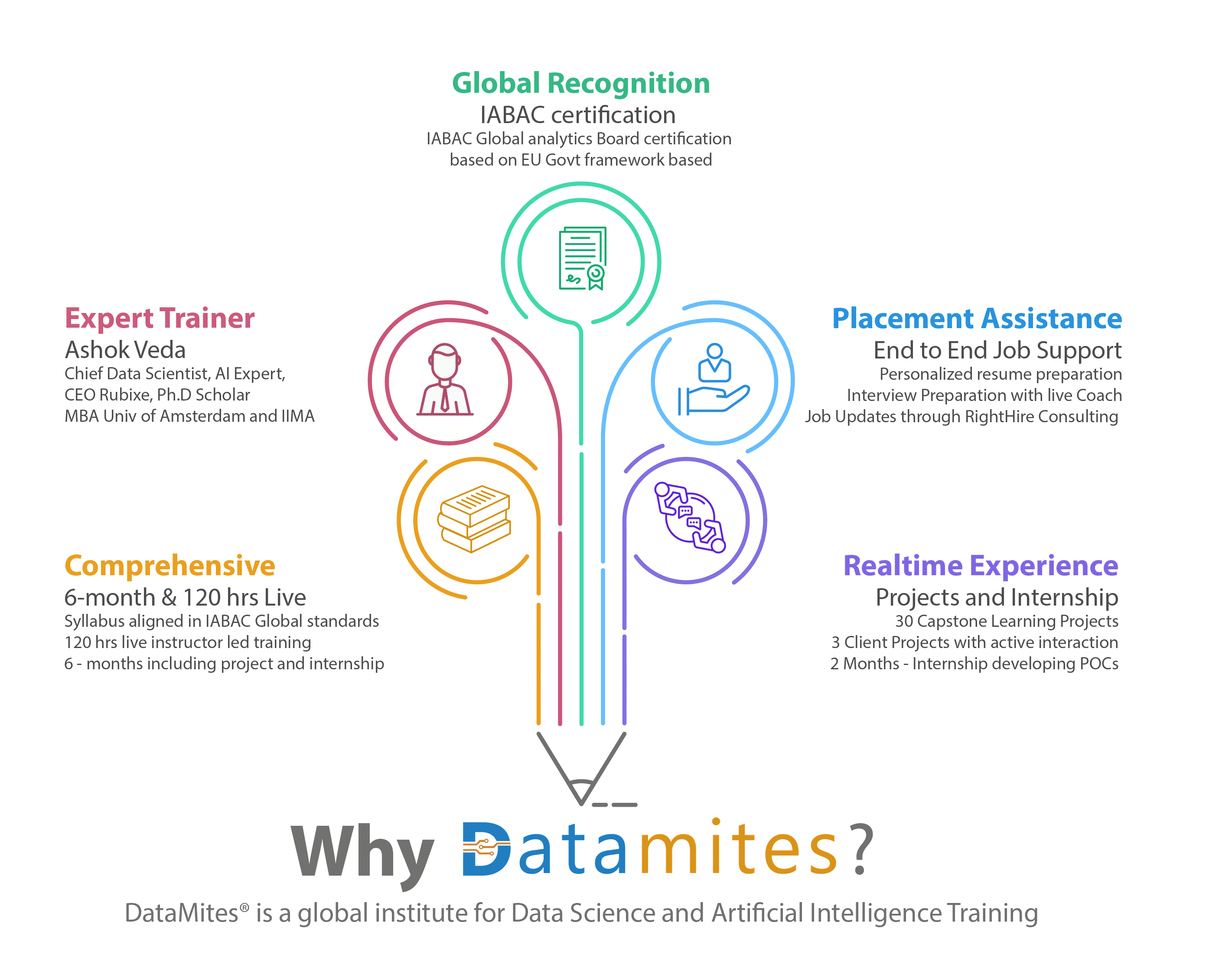 Why DataMites Infographic
